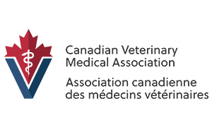 CVMA_Program.jpg
