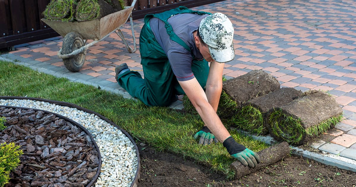 What Insurance Do Landscapers Need?