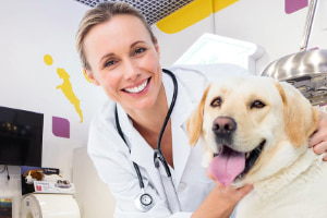 Western Financial Group Partners with Canada's Veterinary Leaders to Strengthen Protection for Clinics Nationwide image